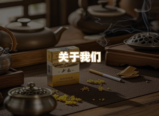 关于云歌烟网